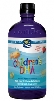 Nordic Naturals Children's DHA Liquid - 16 oz